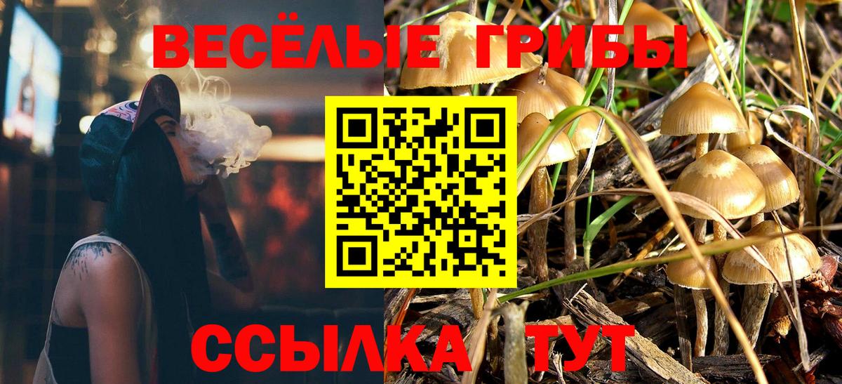 Псилоцибиновые грибы Psilocybine cubensis Партизанск