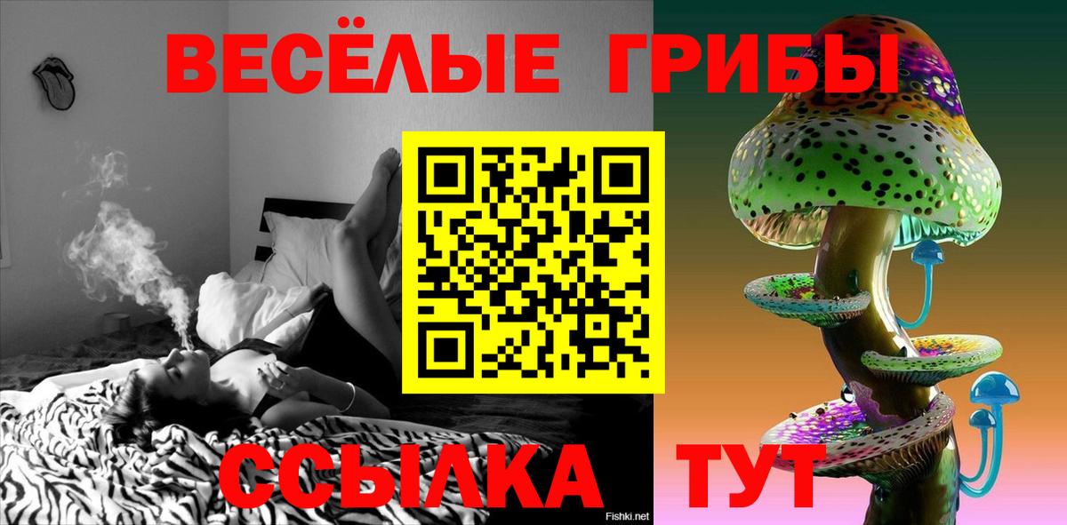 Галлюциногенные грибы Cubensis  Псилоцибиновые грибы мухоморы  Вход с VPN  Партизанск 